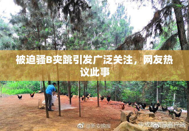 被迫骚B夹跳引发广泛关注，网友热议此事
