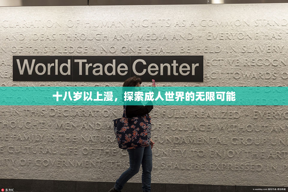 十八岁以上漫，探索成人世界的无限可能