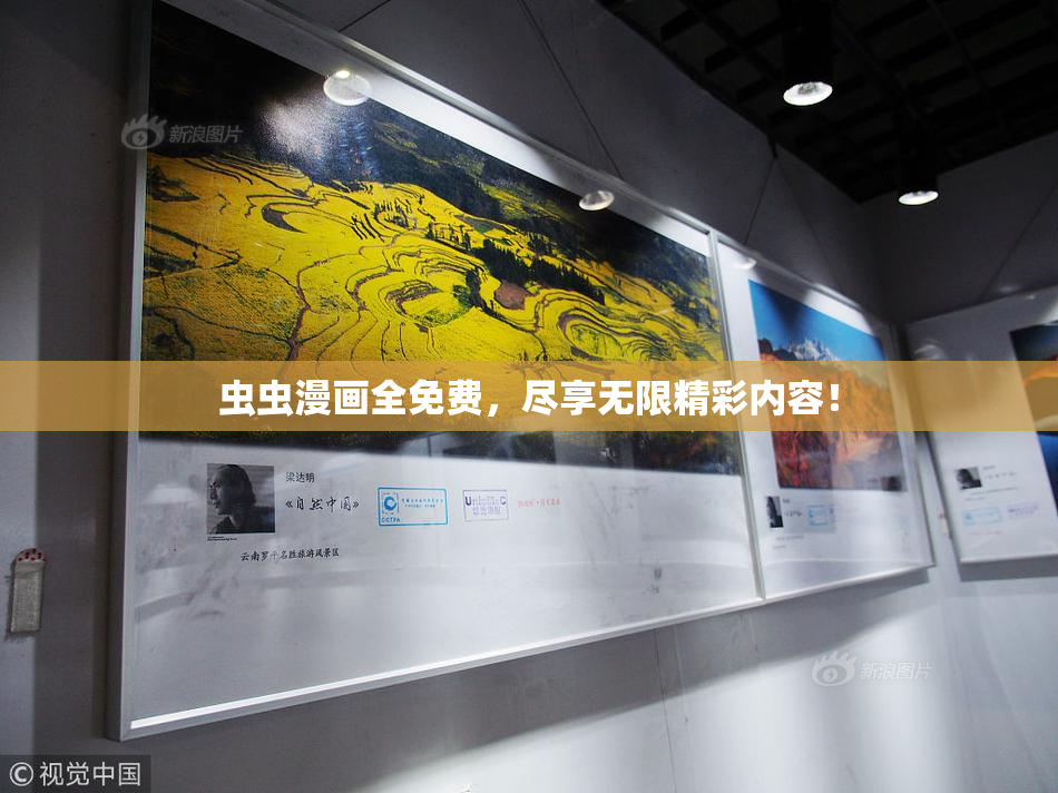 虫虫漫画全免费，尽享无限精彩内容！