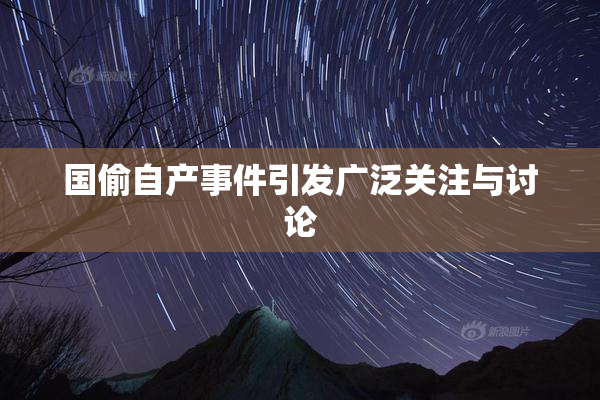 国偷自产事件引发广泛关注与讨论