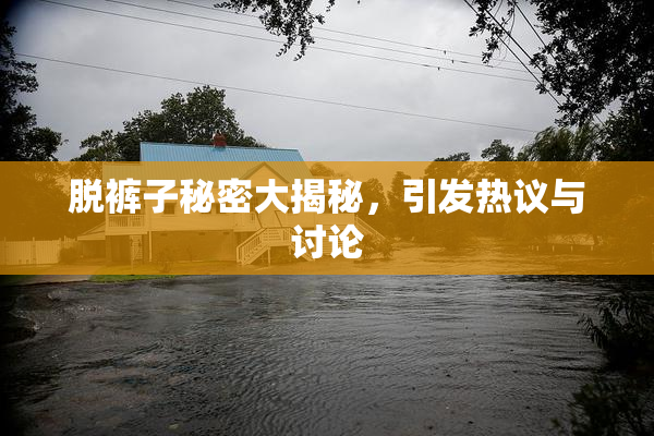 脱裤子秘密大揭秘，引发热议与讨论