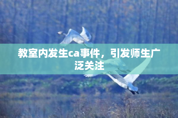 教室内发生ca事件，引发师生广泛关注