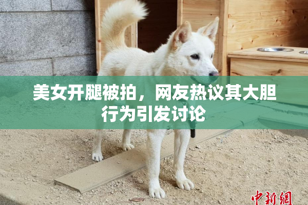 美女开腿被拍，网友热议其大胆行为引发讨论