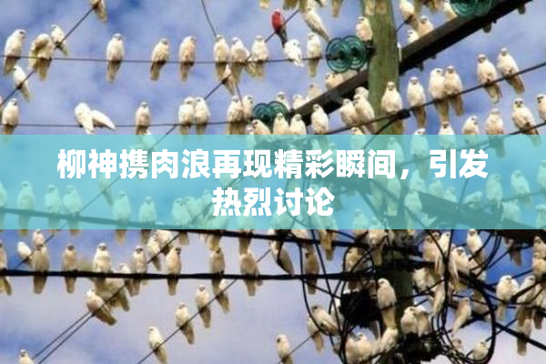 柳神携肉浪再现精彩瞬间，引发热烈讨论