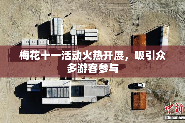 梅花十一活动火热开展，吸引众多游客参与