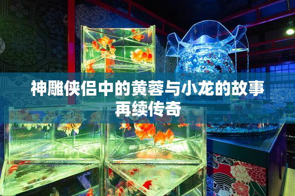 神雕侠侣中的黄蓉与小龙的故事再续传奇