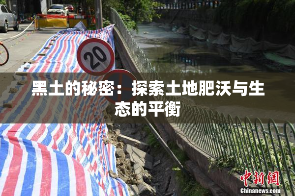 黑土的秘密：探索土地肥沃与生态的平衡