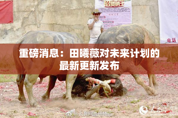 重磅消息：田曦薇对未来计划的最新更新发布