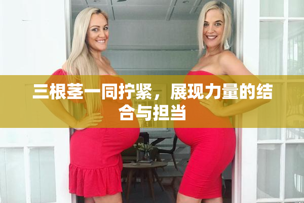 三根茎一同拧紧，展现力量的结合与担当