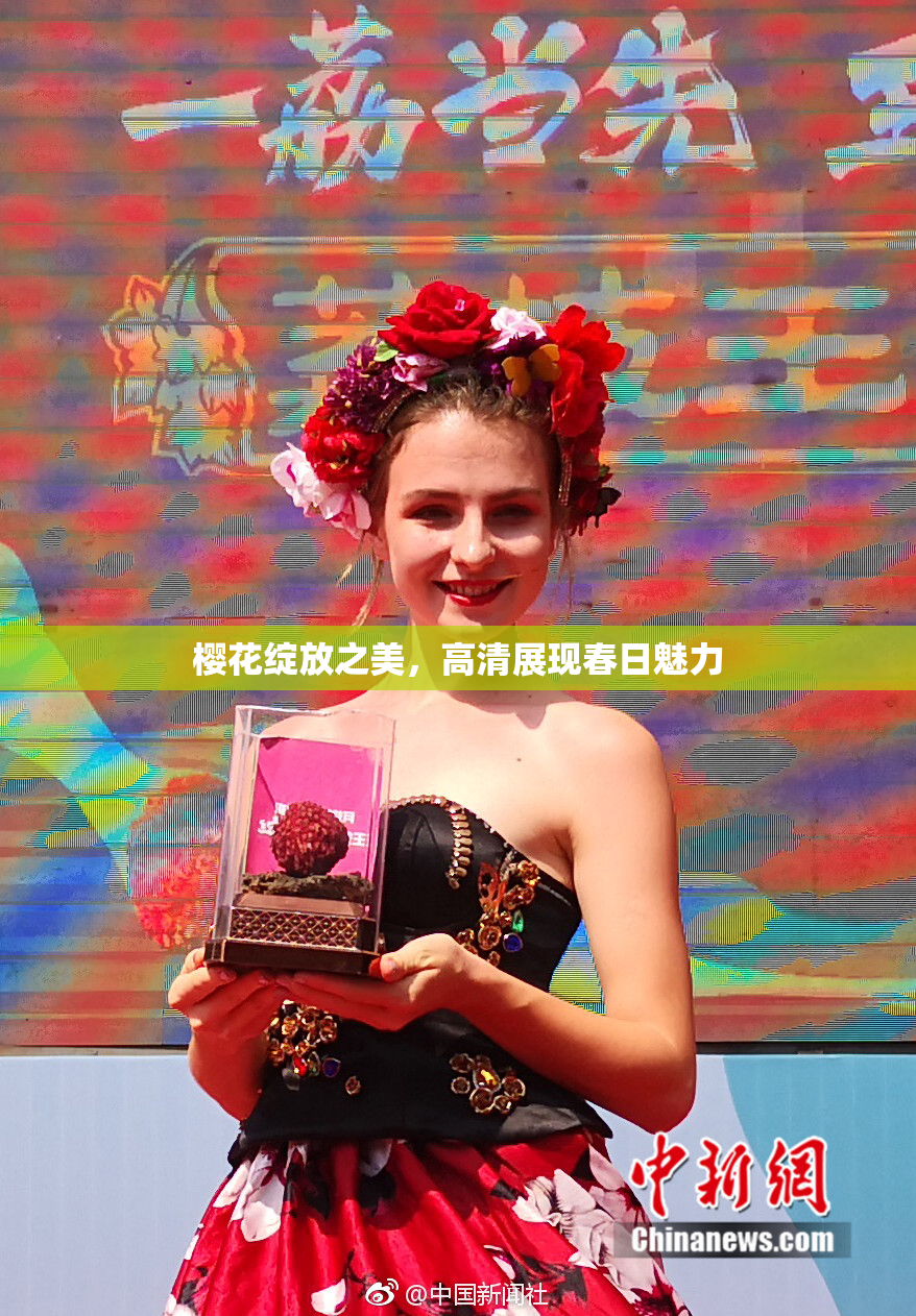 樱花绽放之美，高清展现春日魅力