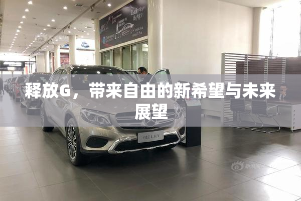释放G，带来自由的新希望与未来展望