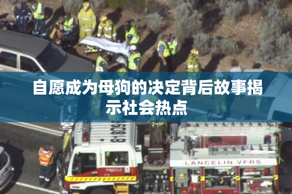 自愿成为母狗的决定背后故事揭示社会热点
