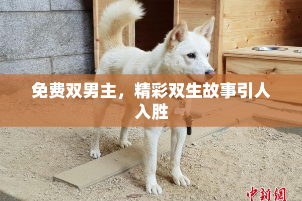 免费双男主，精彩双生故事引人入胜