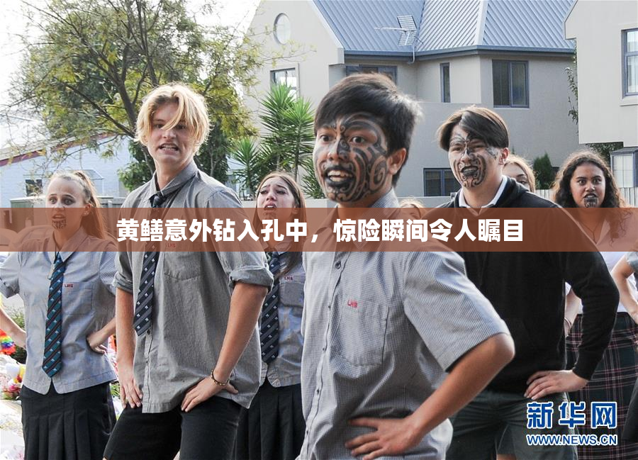 黄鳝意外钻入孔中，惊险瞬间令人瞩目