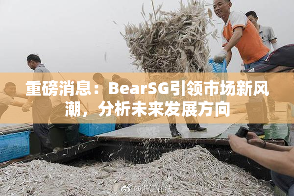 重磅消息：BearSG引领市场新风潮，分析未来发展方向