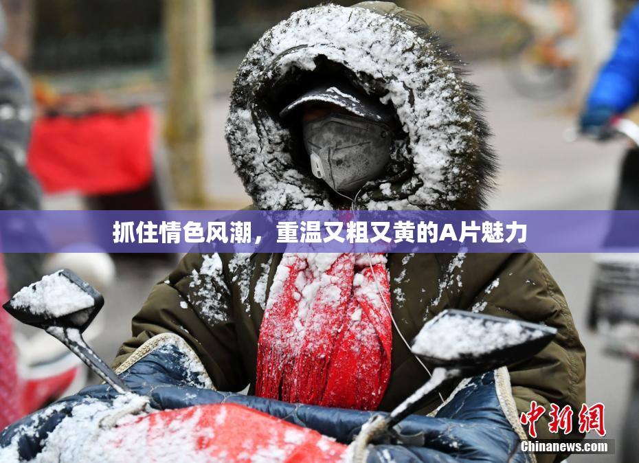 抓住情色风潮，重温又粗又黄的A片魅力