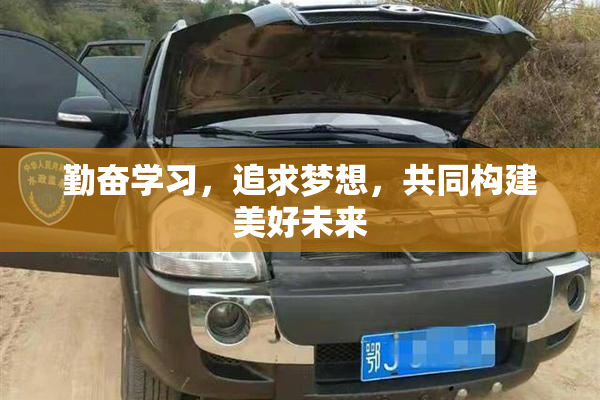 勤奋学习，追求梦想，共同构建美好未来