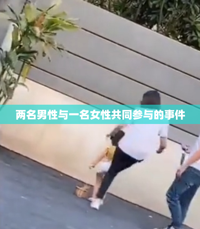 两名男性与一名女性共同参与的事件