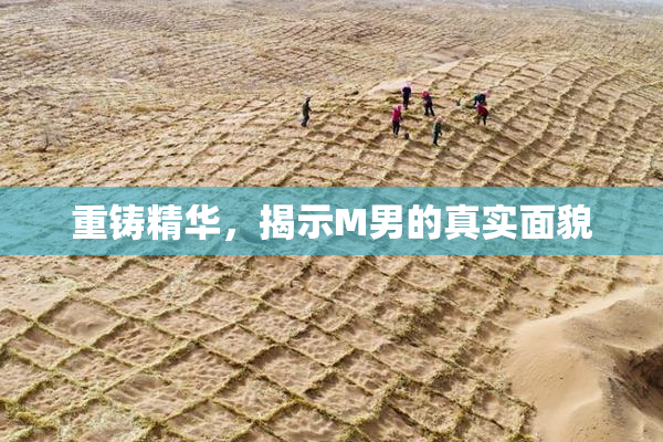重铸精华，揭示M男的真实面貌