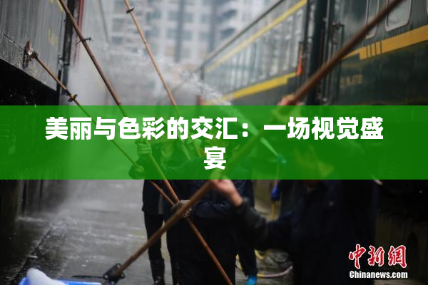 美丽与色彩的交汇：一场视觉盛宴