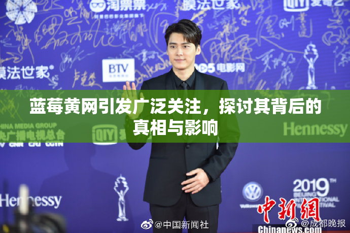 蓝莓黄网引发广泛关注，探讨其背后的真相与影响