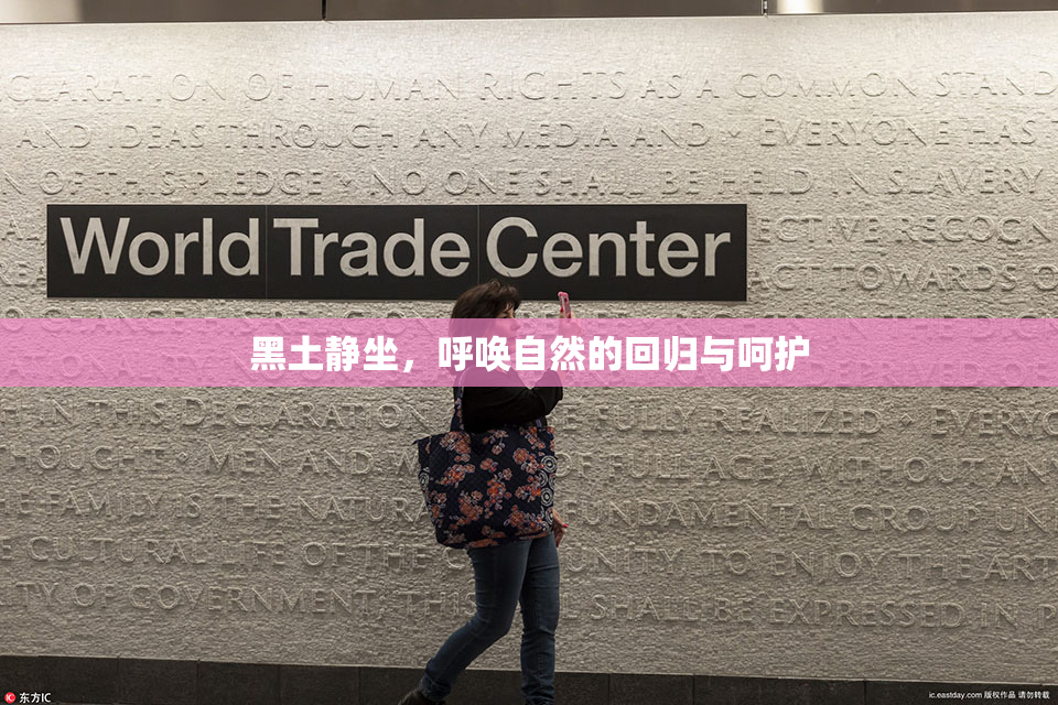 黑土静坐，呼唤自然的回归与呵护