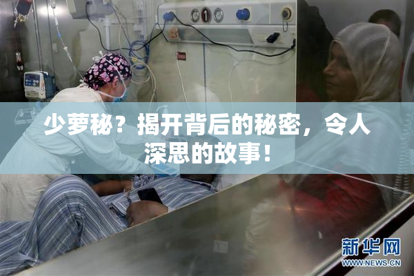 少萝秘？揭开背后的秘密，令人深思的故事！