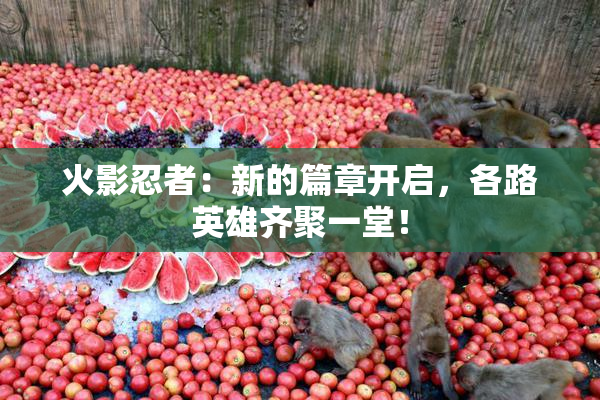 火影忍者：新的篇章开启，各路英雄齐聚一堂！
