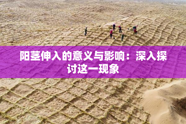 阳茎伸入的意义与影响：深入探讨这一现象