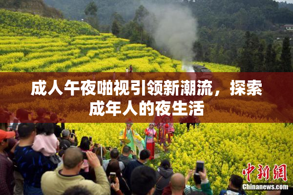 成人午夜啪视引领新潮流，探索成年人的夜生活