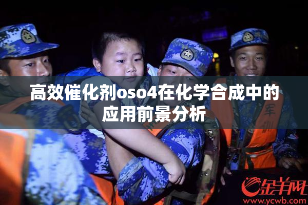 高效催化剂oso4在化学合成中的应用前景分析