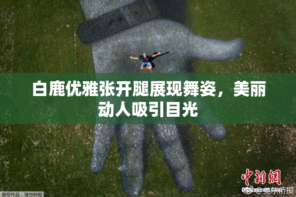 白鹿优雅张开腿展现舞姿，美丽动人吸引目光