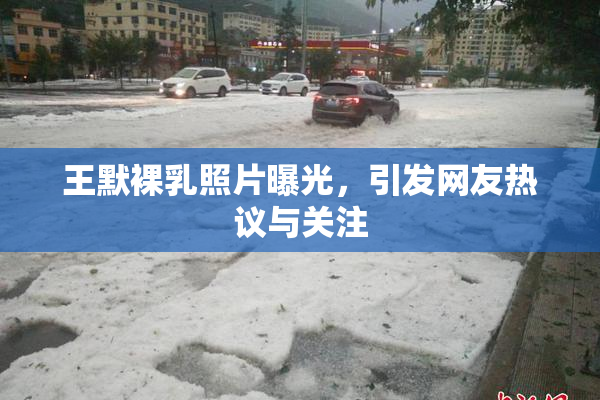 王默裸乳照片曝光，引发网友热议与关注
