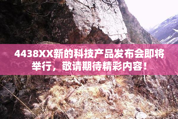 4438XX新的科技产品发布会即将举行，敬请期待精彩内容！