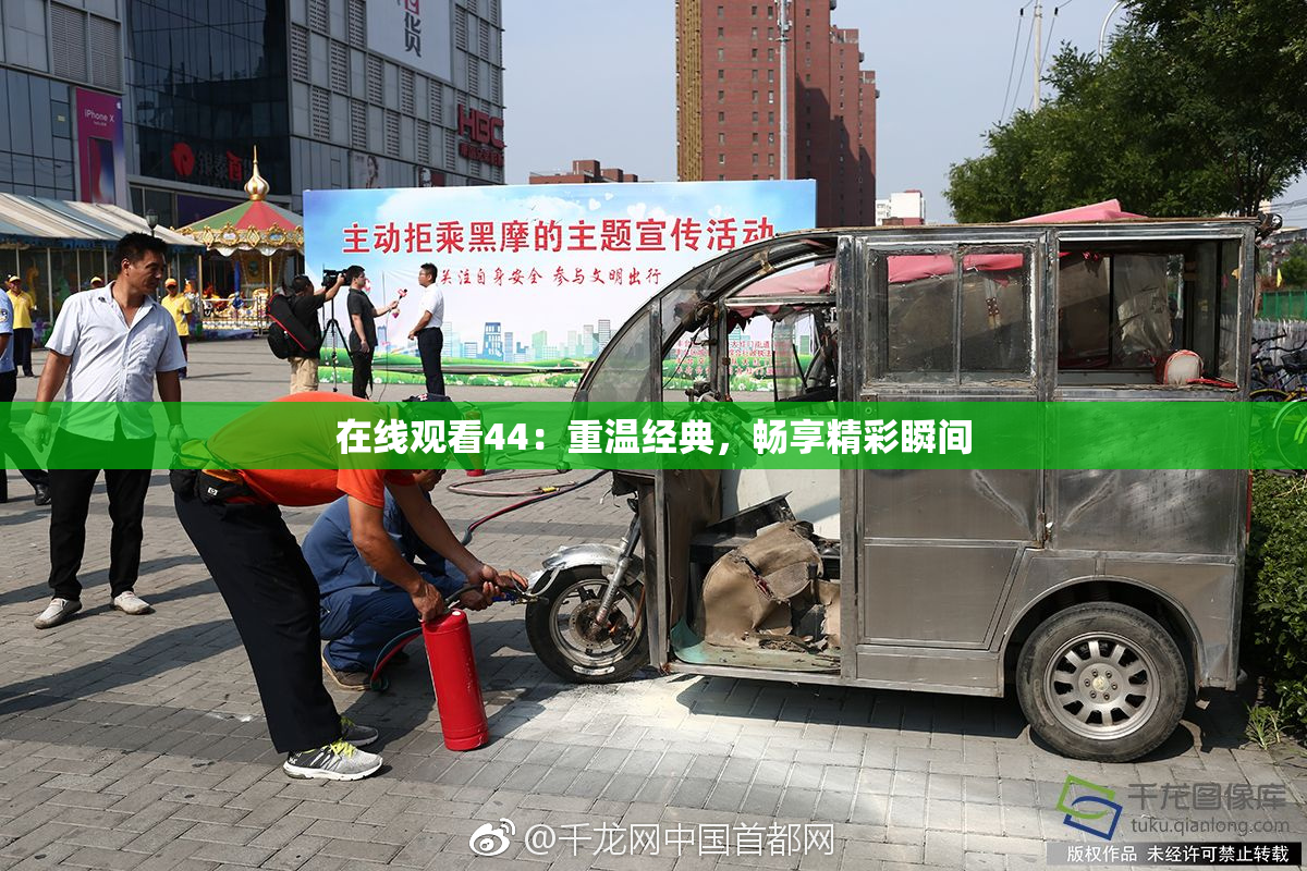 在线观看44：重温经典，畅享精彩瞬间