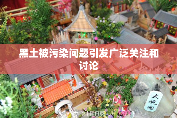 黑土被污染问题引发广泛关注和讨论