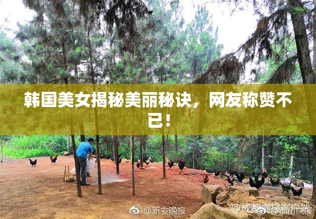韩国美女揭秘美丽秘诀，网友称赞不已！