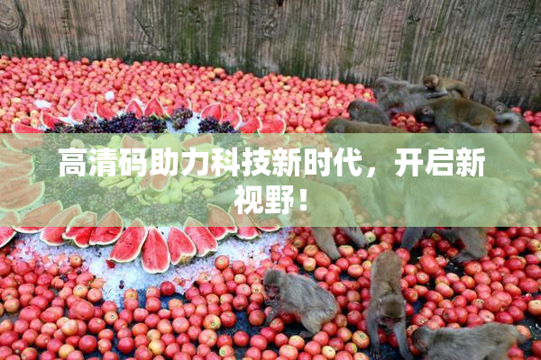 高清码助力科技新时代，开启新视野！