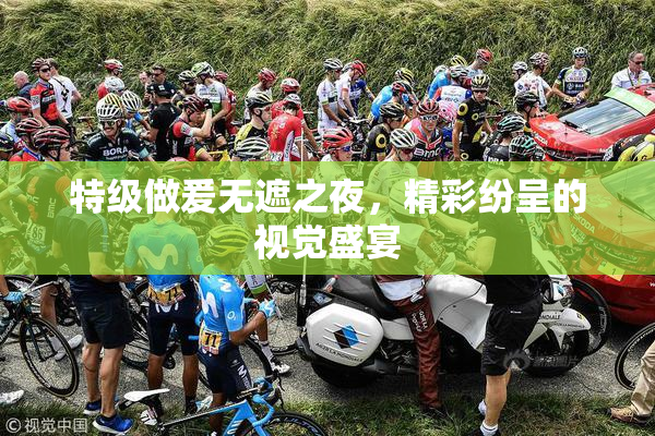 特级做爰无遮之夜，精彩纷呈的视觉盛宴