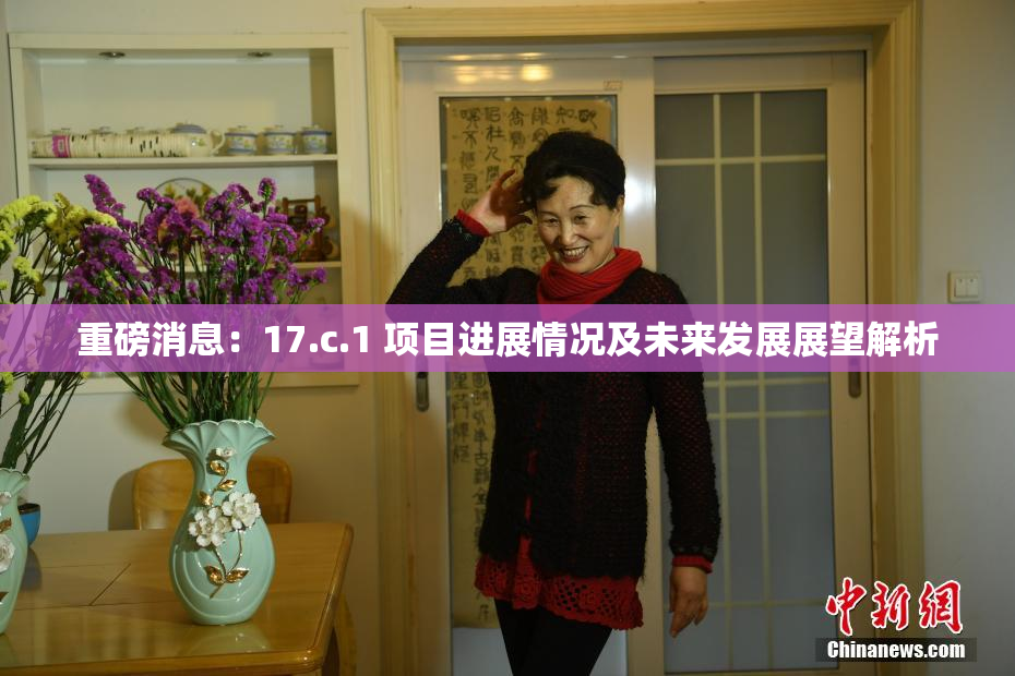重磅消息：17.c.1 项目进展情况及未来发展展望解析