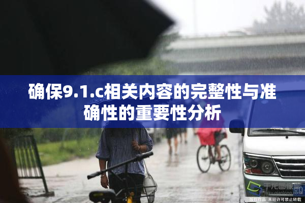 确保9.1.c相关内容的完整性与准确性的重要性分析