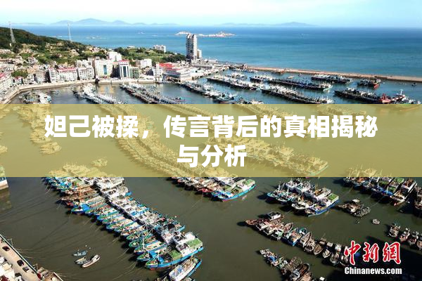 妲己被揉，传言背后的真相揭秘与分析