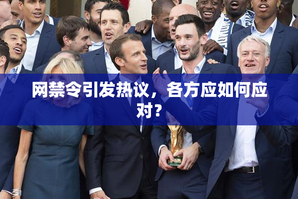 网禁令引发热议，各方应如何应对？