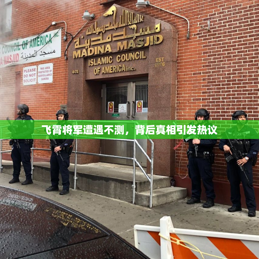 飞霄将军遭遇不测，背后真相引发热议