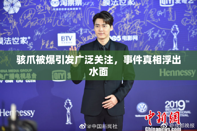 骇爪被爆引发广泛关注，事件真相浮出水面