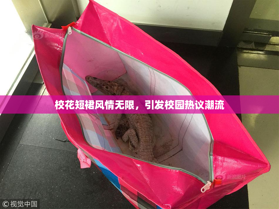 校花短裙风情无限，引发校园热议潮流