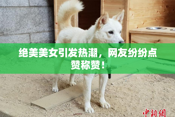 绝美美女引发热潮，网友纷纷点赞称赞！