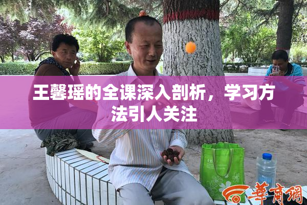 王馨瑶的全课深入剖析，学习方法引人关注