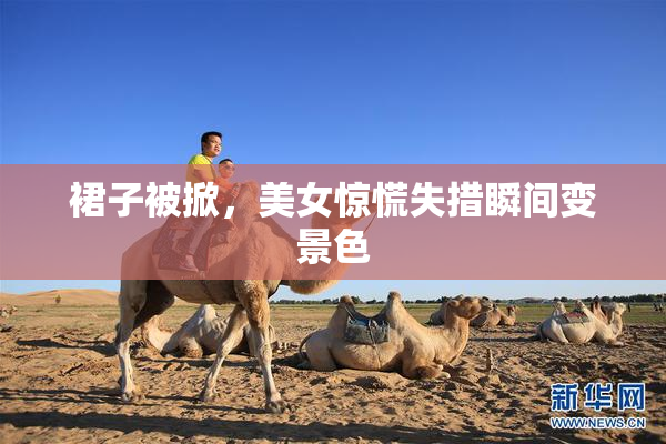 裙子被掀，美女惊慌失措瞬间变景色