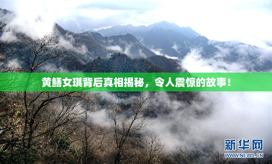 黄鳝女琪背后真相揭秘，令人震惊的故事！